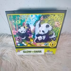 NEW Glow in the dark Hidden image 500 piece puzzle